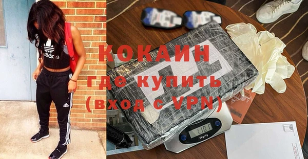 сатива Аркадак