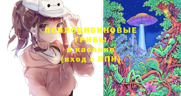 сатива Аркадак